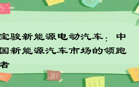 宝骏新能源电动汽车：中国新能源汽车市场的领跑者