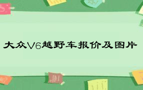 大众V6越野车报价及图片