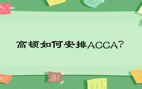 高顿如何安排ACCA？