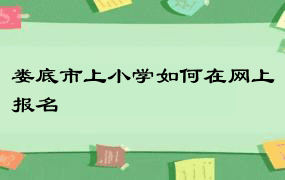 娄底市上小学如何在网上报名