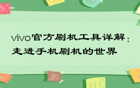 vivo官方刷机工具详解：走进手机刷机的世界