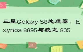 三星Galaxy S8处理器：Exynos 8895与骁龙 835