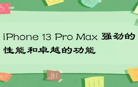 iPhone 13 Pro Max 强劲的性能和卓越的功能