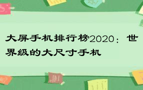 大屏手机排行榜2020：世界级的大尺寸手机