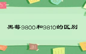 黑莓9800和9810的区别