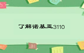 了解诺基亚3110