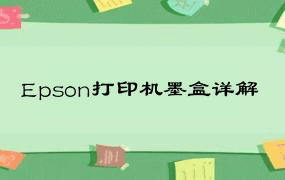 Epson打印机墨盒详解