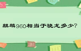 麒麟960相当于骁龙多少？