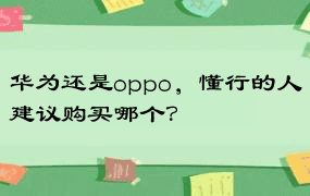 华为还是oppo，懂行的人建议购买哪个？