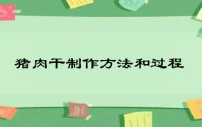 猪肉干制作方法和过程