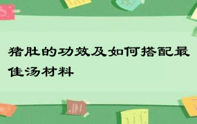 猪肚的功效及如何搭配最佳汤材料