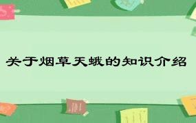 关于烟草天蛾的知识介绍