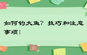 如何钓大鱼？技巧和注意事项！