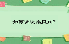 如何清洗扇贝肉？