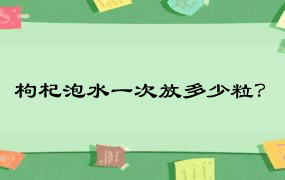 枸杞泡水一次放多少粒？