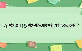 14岁到18岁补脑吃什么好？