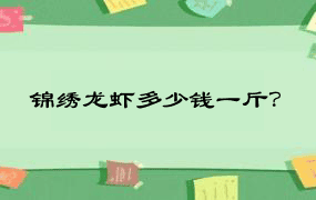 锦绣龙虾多少钱一斤？