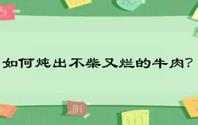 如何炖出不柴又烂的牛肉？