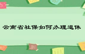 云南省社保如何办理退休