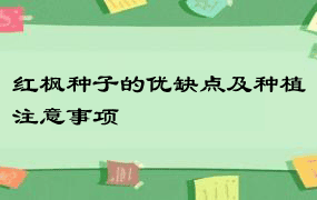 红枫种子的优缺点及种植注意事项