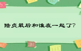 陆贞最后和谁在一起了？