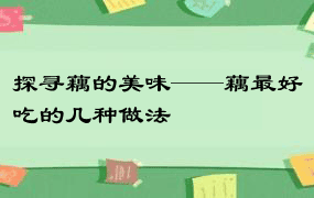 探寻藕的美味——藕最好吃的几种做法