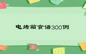 电烤箱食谱300例