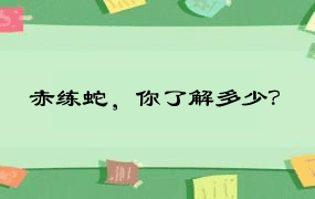 赤练蛇，你了解多少？