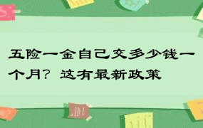 五险一金自己交多少钱一个月？这有最新政策