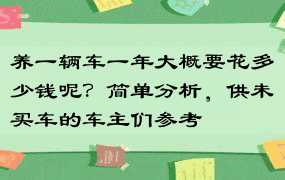 养一辆车一年大概要花多少钱呢？简单分析，供未买车的车主们参考