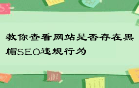 教你查看网站是否存在黑帽SEO违规行为