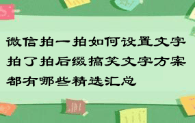 微信拍一拍如何设置文字 拍了拍后缀搞笑文字方案都有哪些精选汇总