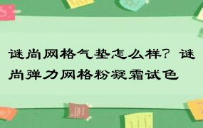 谜尚网格气垫怎么样？谜尚弹力网格粉凝霜试色