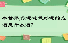 牛甘果,你喝过最好喝的泡酒是什么酒？