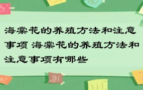 海棠花的养殖方法和注意事项 海棠花的养殖方法和注意事项有哪些