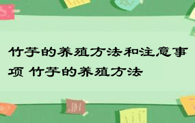 竹芋的养殖方法和注意事项 竹芋的养殖方法