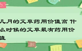 几月的艾草药用价值高 什么时候的艾草最有药用价值