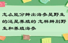 怎么能分辨出海参是野生的还是养殖的 怎样辨别野生和养殖海参