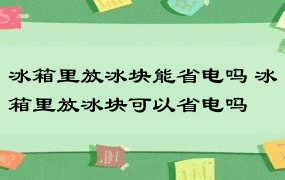 冰箱里放冰块能省电吗 冰箱里放冰块可以省电吗