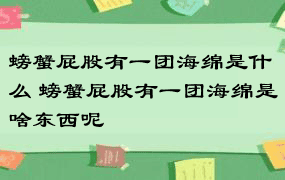 螃蟹屁股有一团海绵是什么 螃蟹屁股有一团海绵是啥东西呢