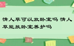 情人草可以放卧室吗 情人草能放卧室养护吗