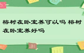 榕树在卧室养可以吗 榕树在卧室养好吗