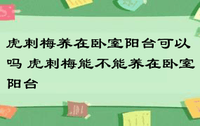 虎刺梅养在卧室阳台可以吗 虎刺梅能不能养在卧室阳台