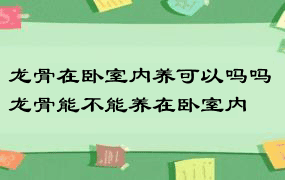 龙骨在卧室内养可以吗吗 龙骨能不能养在卧室内