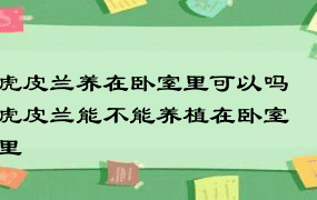 虎皮兰养在卧室里可以吗 虎皮兰能不能养植在卧室里