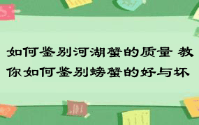 如何鉴别河湖蟹的质量 教你如何鉴别螃蟹的好与坏