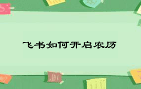 飞书如何开启农历