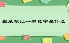 盗墓笔记一串数字是什么