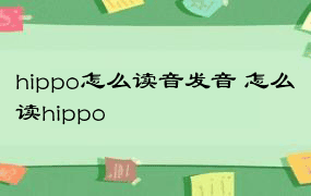 hippo怎么读音发音 怎么读hippo