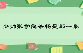 少帅张学良杀杨是哪一集